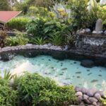 Kostaryka / Majka Szura