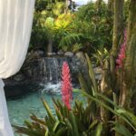 Kostaryka / Majka Szura