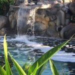 Kostaryka / Majka Szura