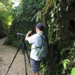 Kostaryka / Majka Szura