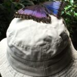 Kostaryka / Majka Szura