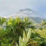 Kostaryka / Majka Szura