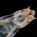 30.05.2020 Ekstremalna fotografia / Paweł Błachowicz