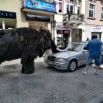 Zdjęcia z planu filmowego Teatru Lalki i Aktora „Kubuś” w Kielcach. / Dorota Klusek