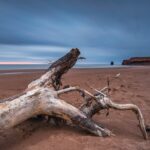 Muzyczne podróże. Wyspa Księcia Edwarda. Kanada / Mario Carvajal