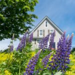 Muzyczne podróże. Wyspa Księcia Edwarda. Kanada / Mario Carvajal