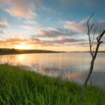 Muzyczne podróże. Wyspa Księcia Edwarda. Kanada / Mario Carvajal