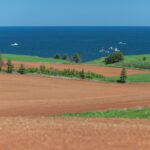 Muzyczne podróże. Wyspa Księcia Edwarda. Kanada / Mario Carvajal