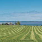 Muzyczne podróże. Wyspa Księcia Edwarda. Kanada / Mario Carvajal