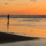 Muzyczne podróże. Wyspa Księcia Edwarda. Kanada / Mario Carvajal