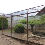 02.05.2020. Złota. Ptasim Azylu „Ptakolub” / Marta Gajda