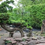 02.05.2020. Złota. Ptasim Azylu „Ptakolub” / Marta Gajda