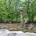 02.05.2020. Złota. Ptasim Azylu „Ptakolub” / Marta Gajda