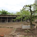 02.05.2020. Złota. Ptasim Azylu „Ptakolub” / Marta Gajda