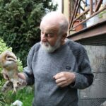 Ptakolub pomaga ptakom wrócić do życia