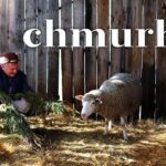 Film „Chmurka/Fluffy” / YouTube