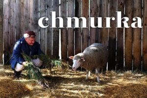 Film „Chmurka/Fluffy” / YouTube