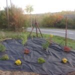 01.05.2020 Czyżów Szlachecki. Plac integracji „Zielony Zakątek” / Wiesława Kaczorek