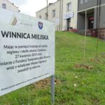 10.05.2020. Opatów. Miejska winnica / Emilia Sitarska / Radio Kielce