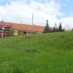 10.05.2020. Opatów. Miejska winnica / Emilia Sitarska / Radio Kielce