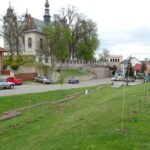 10.05.2020. Opatów. Miejska winnica / Emilia Sitarska / Radio Kielce