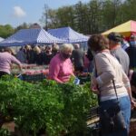 02.05.2020. Ostrowiec Świętokrzyski. Targowisko miejskie w czasie pandemii / Emilia Sitarska / Radio Kielce