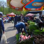 02.05.2020. Ostrowiec Świętokrzyski. Targowisko miejskie w czasie pandemii / Emilia Sitarska / Radio Kielce