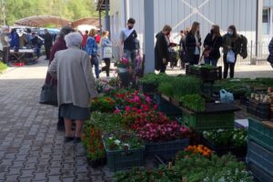 02.05.2020. Ostrowiec Świętokrzyski. Targowisko miejskie w czasie pandemii / Emilia Sitarska / Radio Kielce