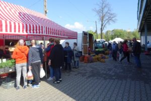 02.05.2020. Ostrowiec Świętokrzyski. Targowisko miejskie w czasie pandemii / Emilia Sitarska / Radio Kielce