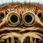 30.05.2020 Ekstremalna fotografia / Paweł Błachowicz