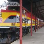 Panama / Majka Szura