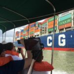 Panama / Majka Szura