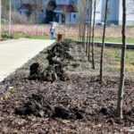 24.05.2020. Staszów. Park Górników / Urząd Miasta w Staszowie