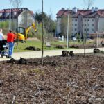 24.05.2020. Staszów. Park Górników / Urząd Miasta w Staszowie
