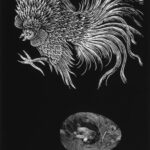 Zdjęcia autorstwa Pawła Pierścińskiego. Fotografie udostępnione przez Andrzeja Borysa - wieloletniego prezesa Okręgu Świętokrzyskiego Związku Polskich Artystów Fotografików / Paweł Pierściński