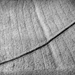 Zdjęcia autorstwa Pawła Pierścińskiego. Fotografie udostępnione przez Andrzeja Borysa - wieloletniego prezesa Okręgu Świętokrzyskiego Związku Polskich Artystów Fotografików / Paweł Pierściński