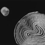 Zdjęcia autorstwa Pawła Pierścińskiego. Fotografie udostępnione przez Andrzeja Borysa - wieloletniego prezesa Okręgu Świętokrzyskiego Związku Polskich Artystów Fotografików / Paweł Pierściński