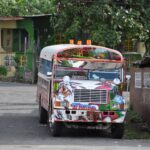 Panama / Majka Szura