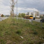 06.05.2020. Kielce. Miejsca, gdzie miały powstać łąki kwietne / Wiktor Taszłow / Radio Kielce