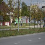 06.05.2020. Kielce. Miejsca, gdzie miały powstać łąki kwietne / Wiktor Taszłow / Radio Kielce