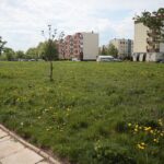 06.05.2020. Kielce. Miejsca, gdzie miały powstać łąki kwietne / Wiktor Taszłow / Radio Kielce