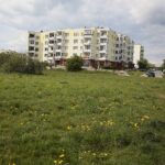 06.05.2020. Kielce. Miejsca, gdzie miały powstać łąki kwietne / Wiktor Taszłow / Radio Kielce