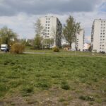 06.05.2020. Kielce. Miejsca, gdzie miały powstać łąki kwietne / Wiktor Taszłow / Radio Kielce