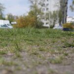 06.05.2020. Kielce. Miejsca, gdzie miały powstać łąki kwietne / Wiktor Taszłow / Radio Kielce