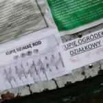 06.05.2020. Kielce. Rodzinne Ogródki Działkowe. Ogłoszenia o kupnie działki / Wiktor Taszłow / Radio Kielce