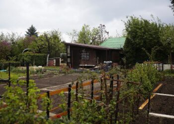 06.05.2020. Kielce. Rodzinne Ogródki Działkowe / Wiktor Taszłow / Radio Kielce