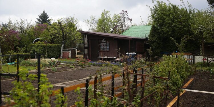 06.05.2020. Kielce. Rodzinne Ogródki Działkowe / Wiktor Taszłow / Radio Kielce