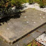 07.05.2020. Kielce. Bazylika katedralna Wniebowzięcia Najświętszej Maryi Panny w Kielcach / Wiktor Taszłow / Radio Kielce