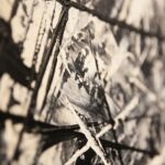 08.05.2020. Kielce. Nowe wystawy w Biurze Wystaw Artystycznych / Wiktor Taszłow / Radio Kielce