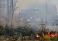 Spada liczba pożarów traw w regionie